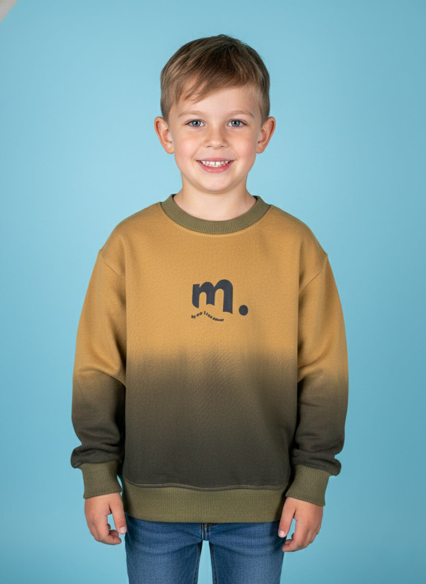 Vats Lil Luxe Full Sleeve Kids Sweatshirt with Ombre Effect Design
