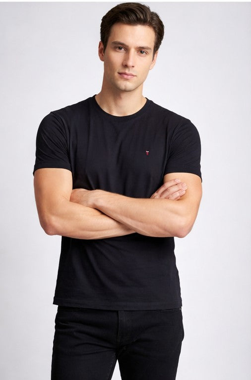 Louis Philippe Mens Solid Classic Round Neck and Half Sleeve T-Shirt