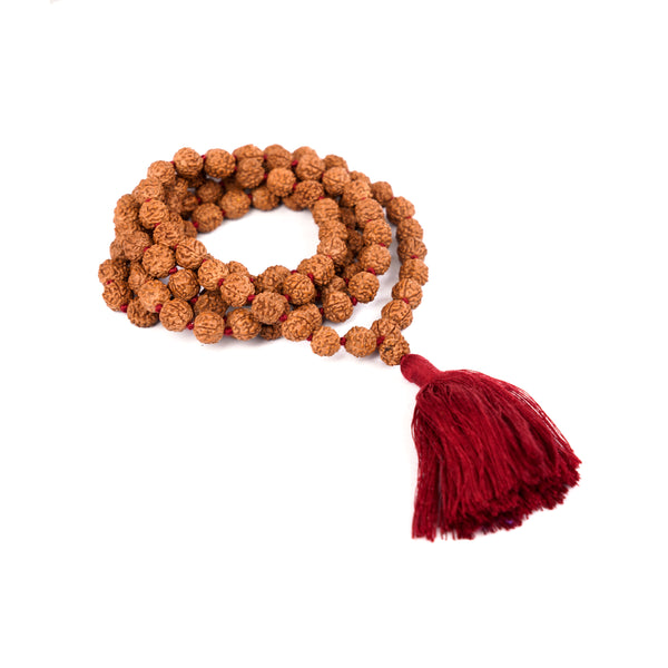 RUDRAKSHA