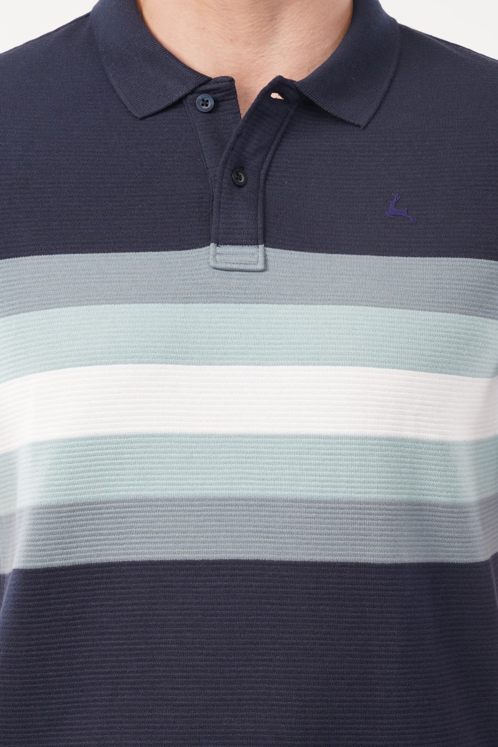 Parx Navy & Green Striped Half Sleeve Polo T-shirt