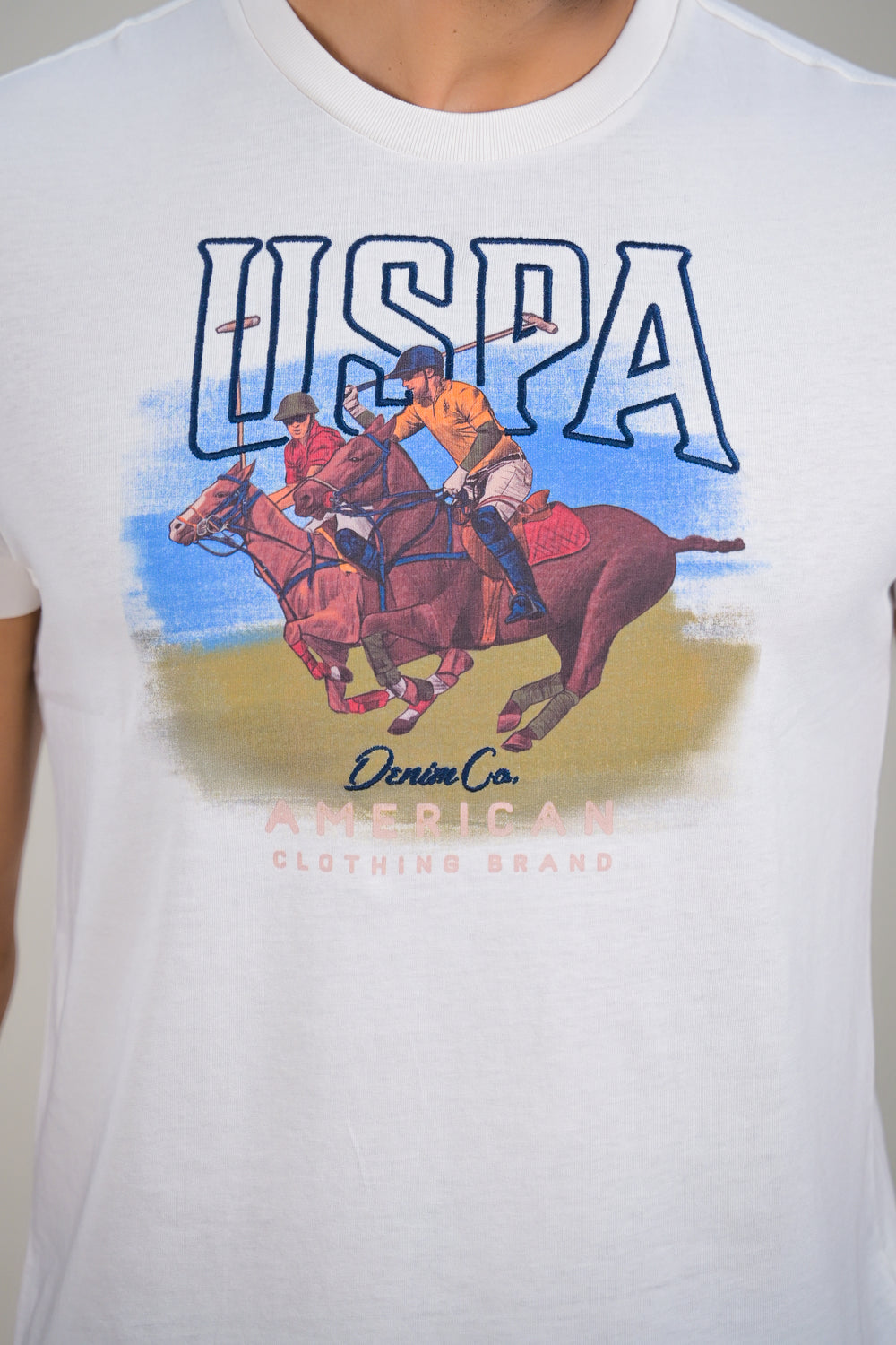 US Polo Mens Graphic Print Round Neck T-Shirt