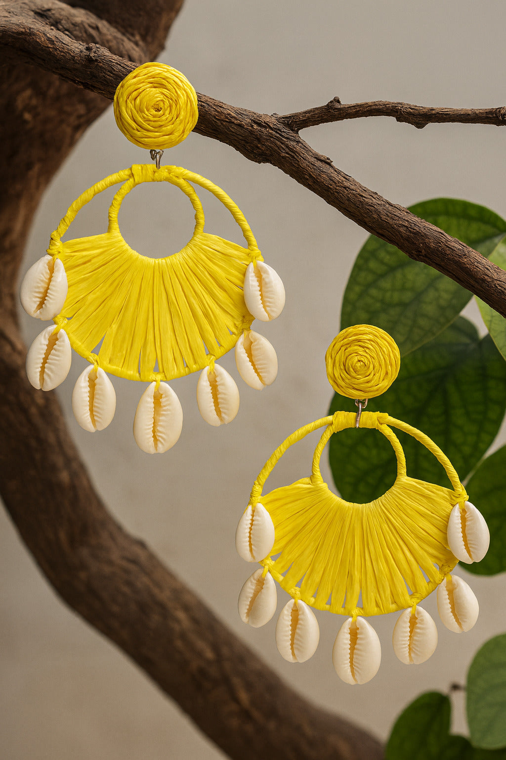 Seashell Sunburst Drops